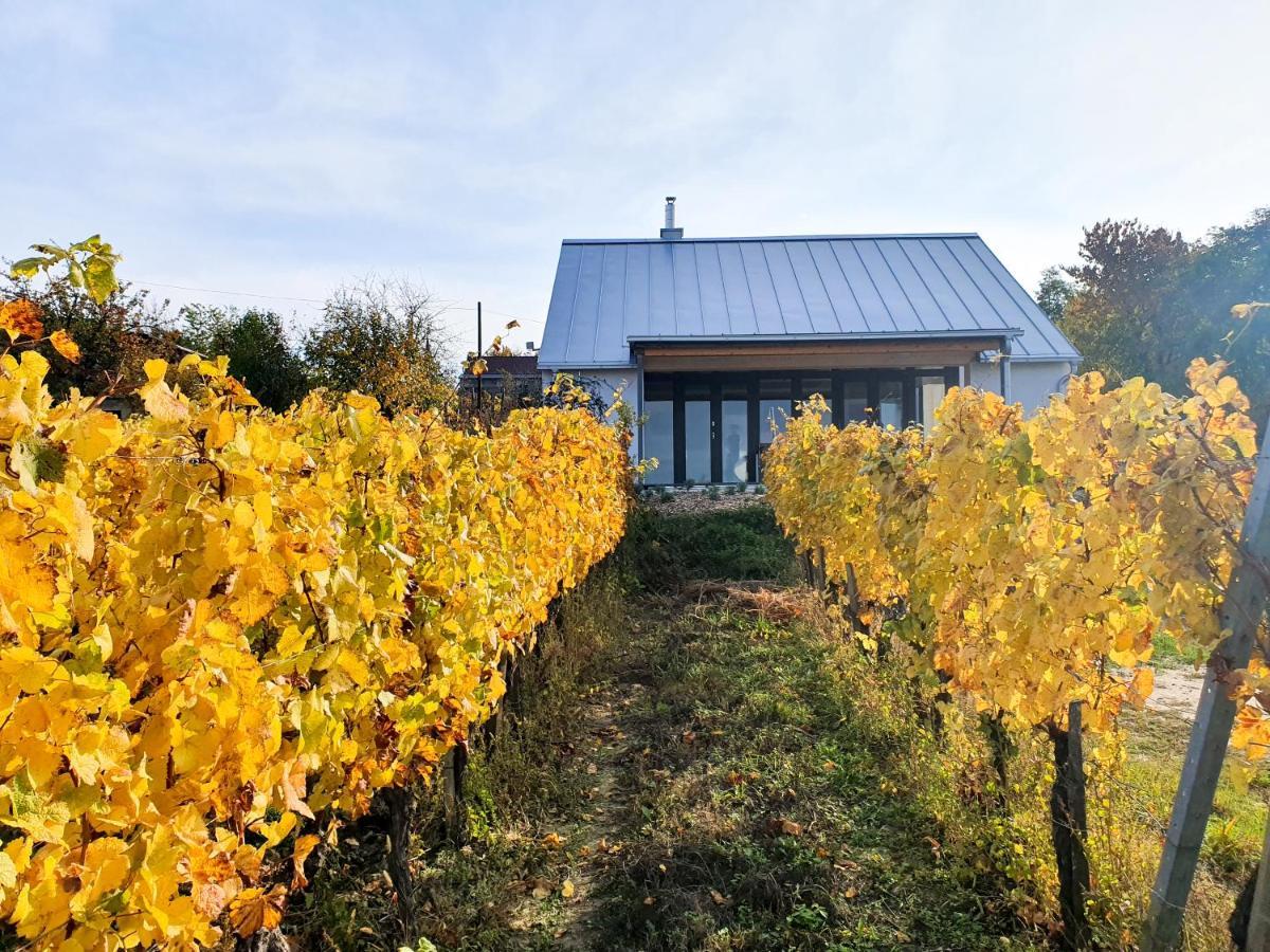 Wine & Space Lodge At Lake Balaton Balatonlelle Exterior photo