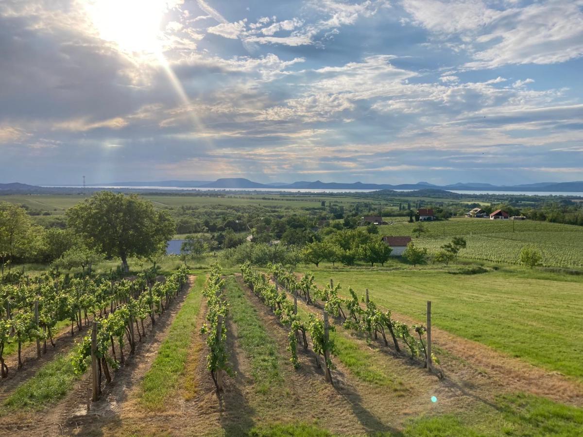 Wine & Space Lodge At Lake Balaton Balatonlelle Exterior photo